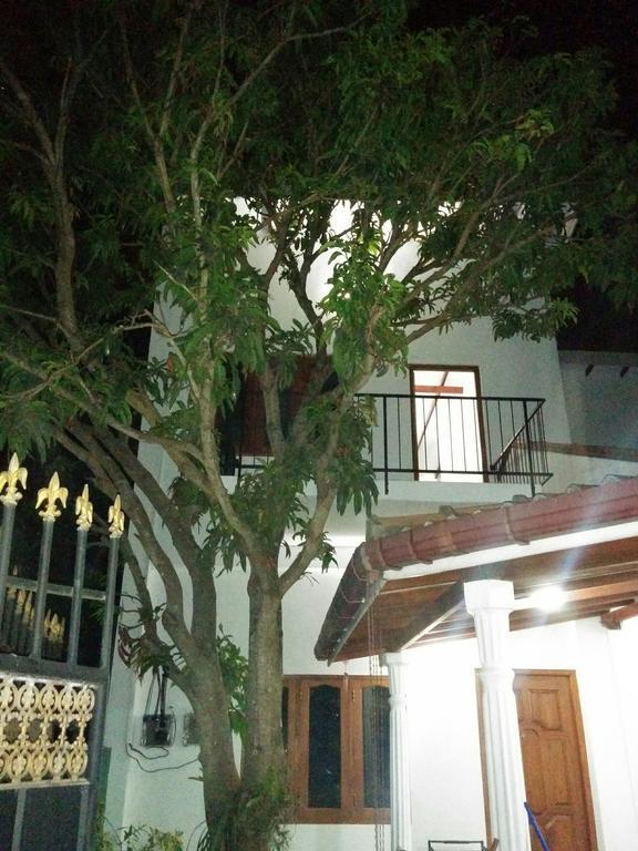 Bed and Breakfast House Of Seya Negombo Exterior foto