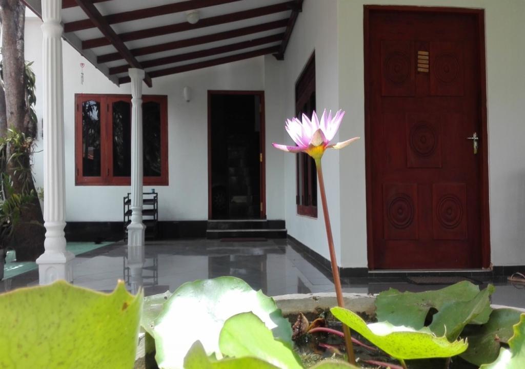 Bed and Breakfast House Of Seya Negombo Exterior foto