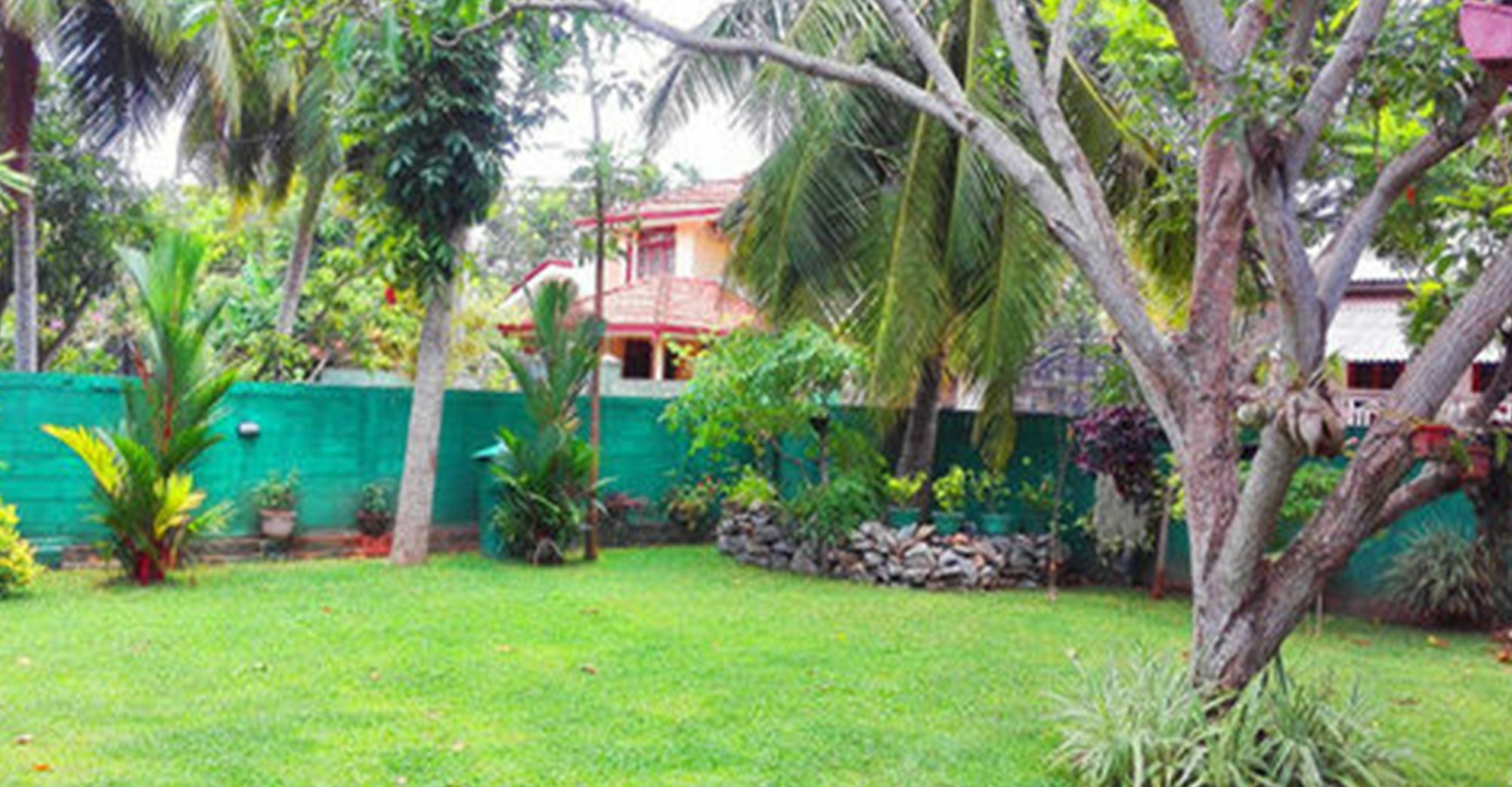 Bed and Breakfast House Of Seya Negombo Exterior foto